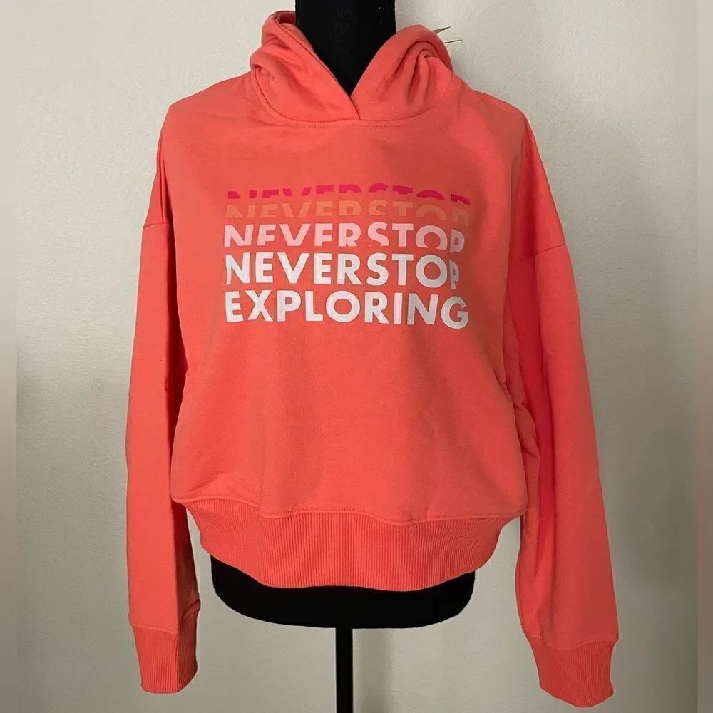 NWT The North Face Logo Play Hoodie